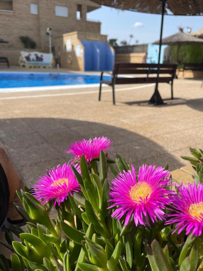 Apartamento Zona Marinador, Cerca A La Playa أوروبيسا ذيل مار المظهر الخارجي الصورة
